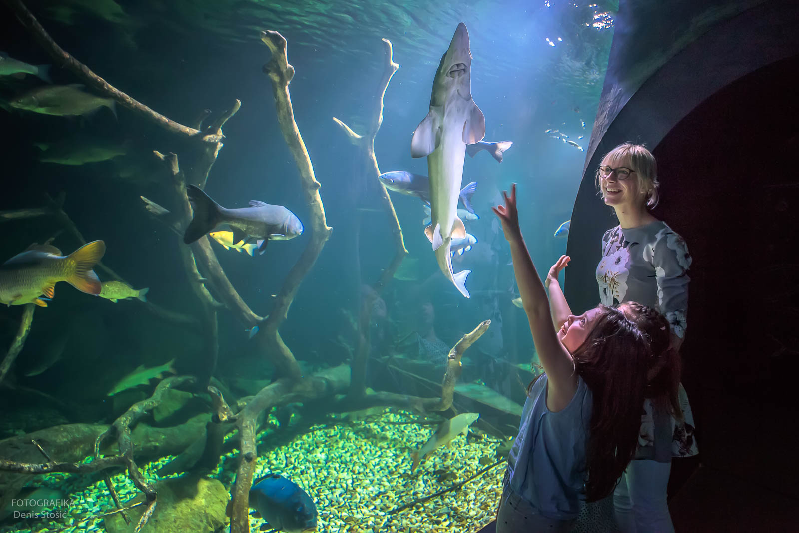Aquatica Aquarium