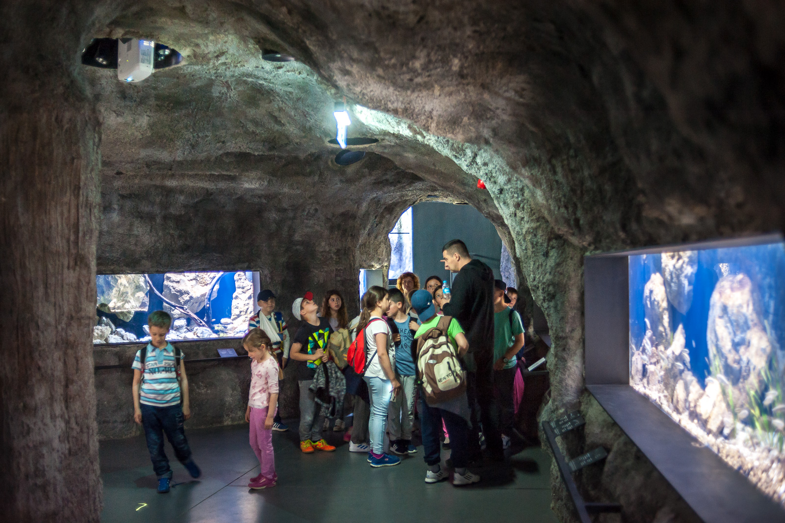 Aquatica Aquarium