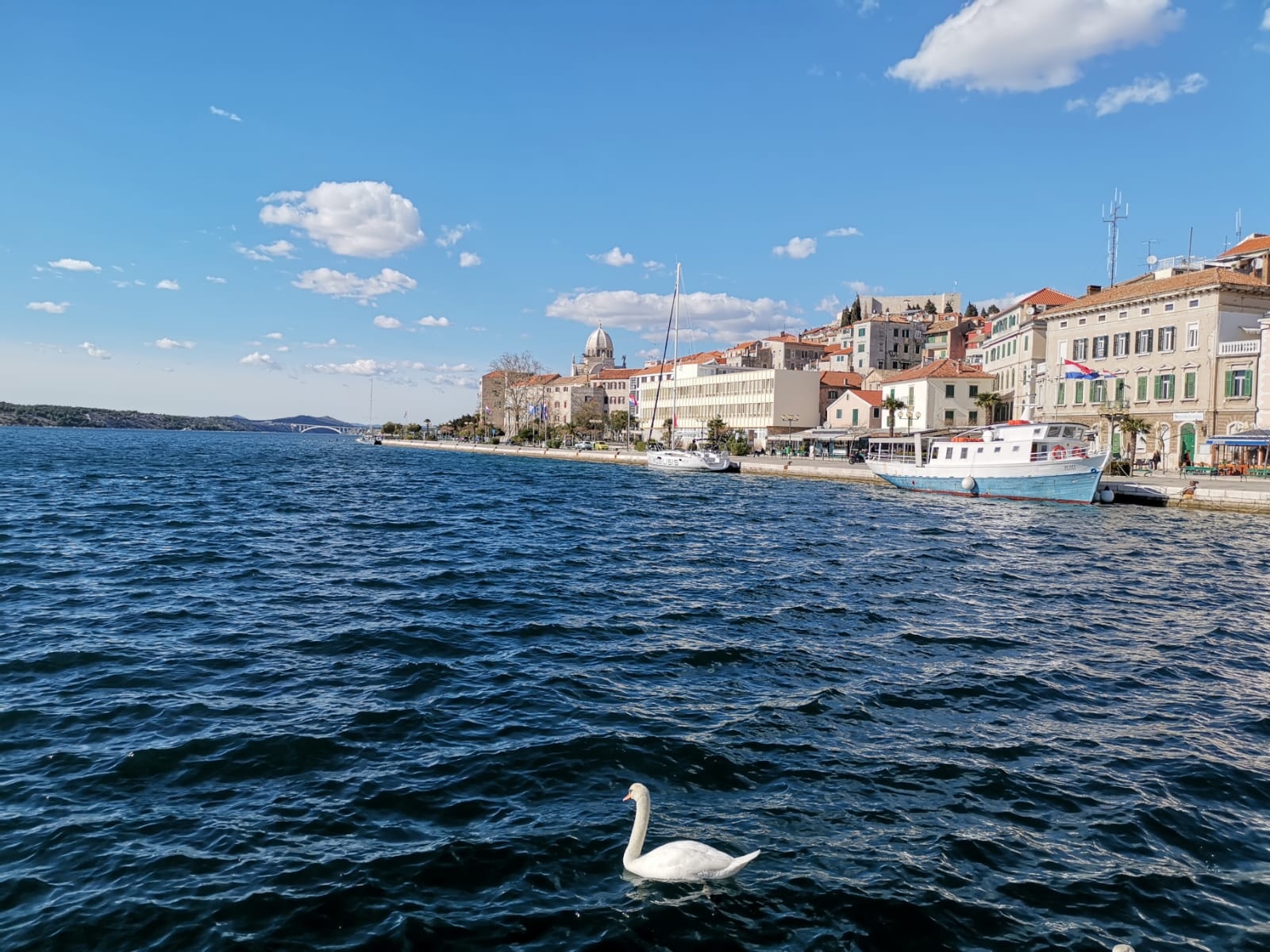tailormade travel agency