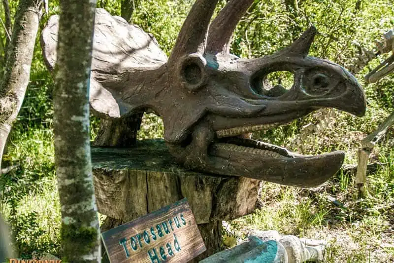 Skeleton Valley