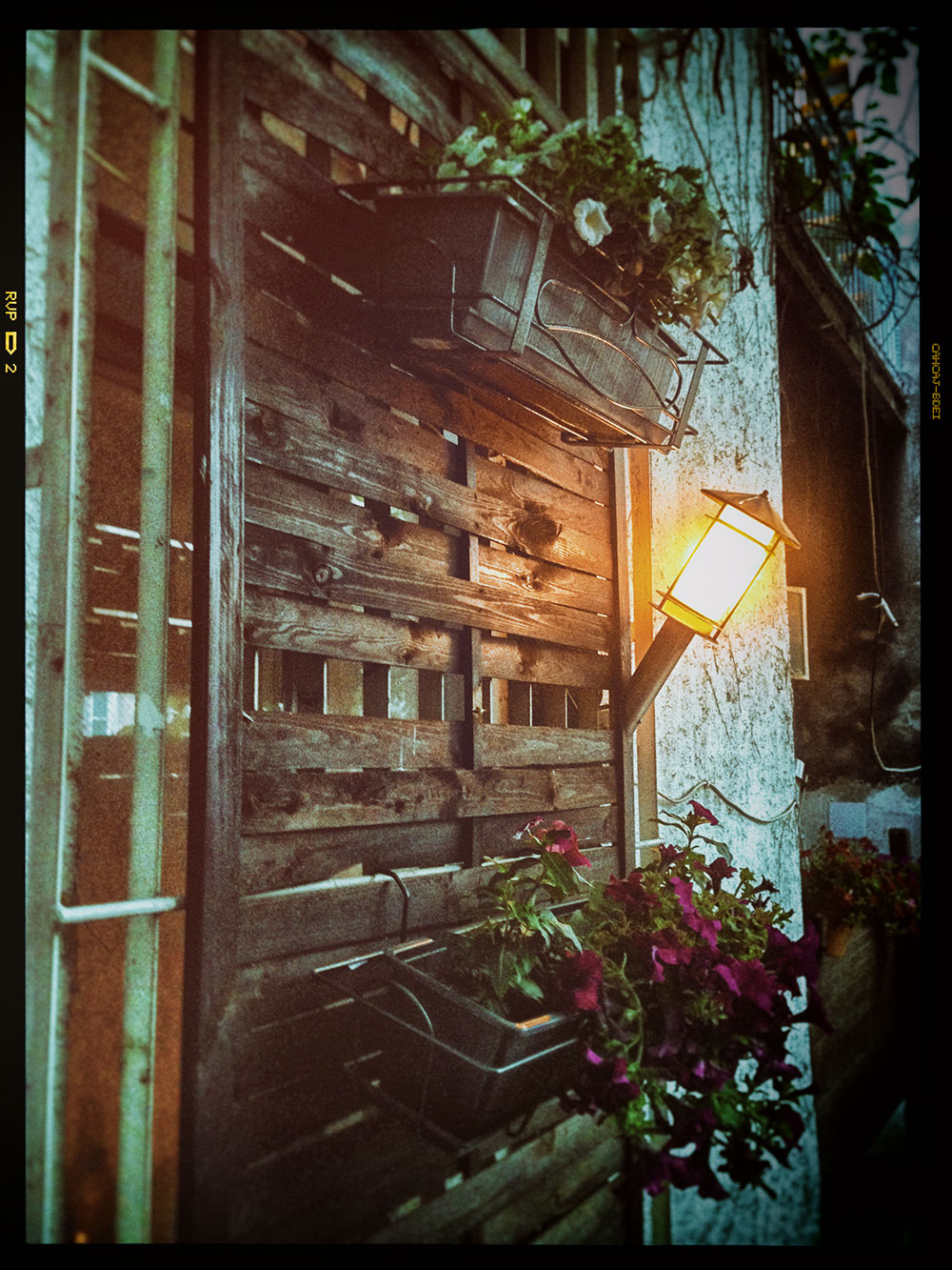 CAFFE-TIN-(44)