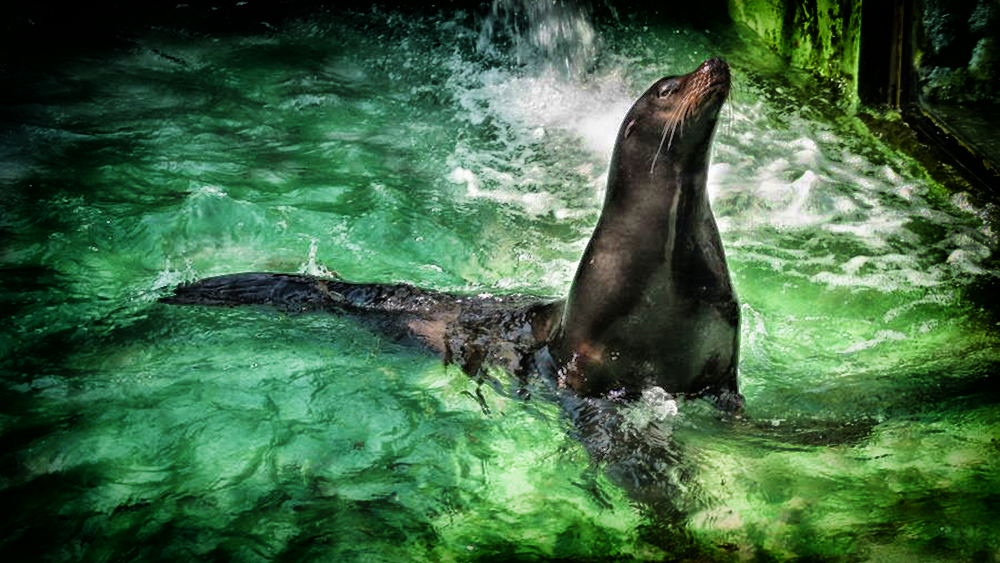 ZAGREB ZOO (3)