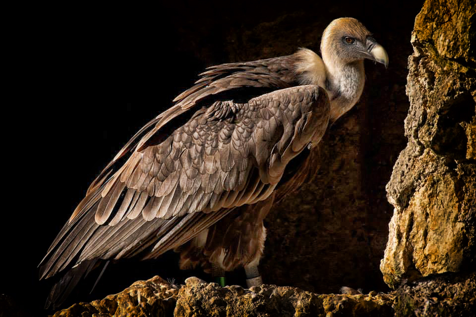 ZAGREB ZOO (2)