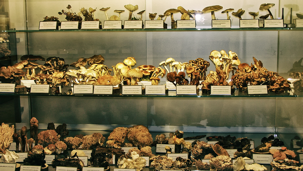 Zagreb museums