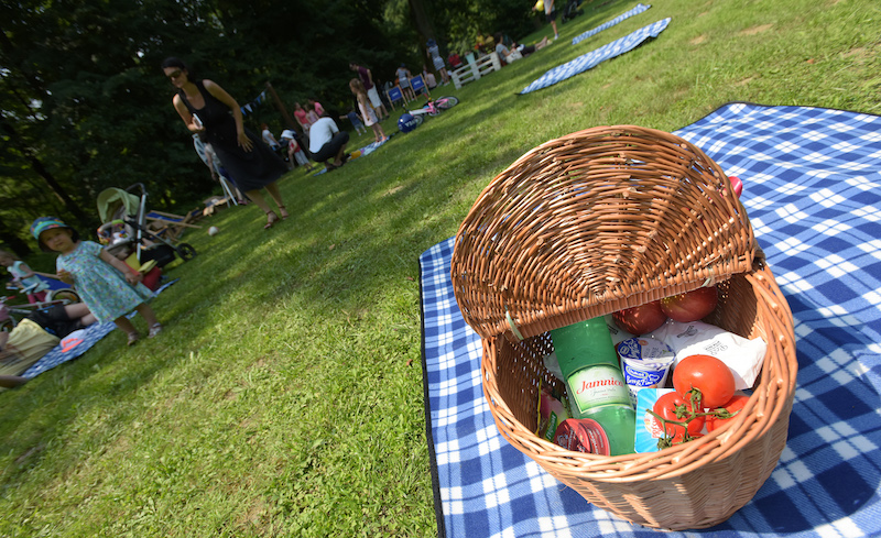 Zagreb Picnic
