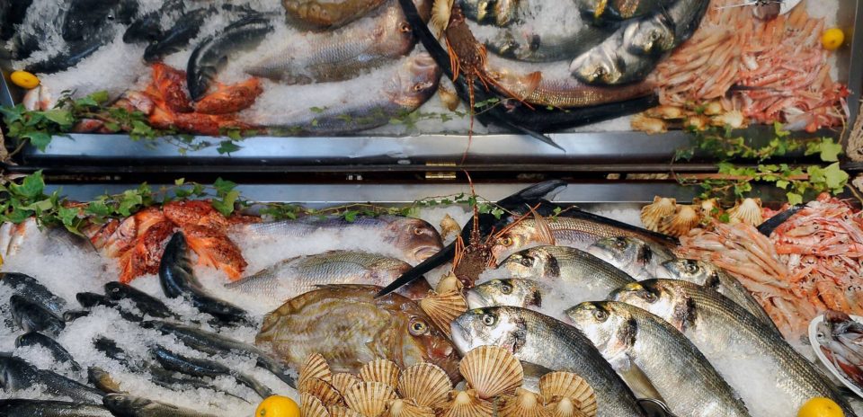 local food in zagreb