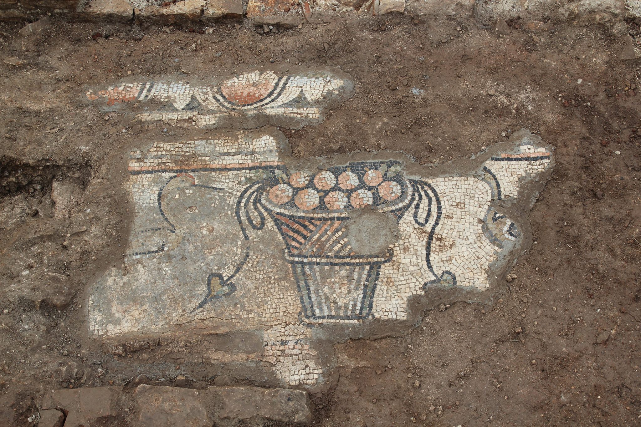 Archaeological Museum of Istria
