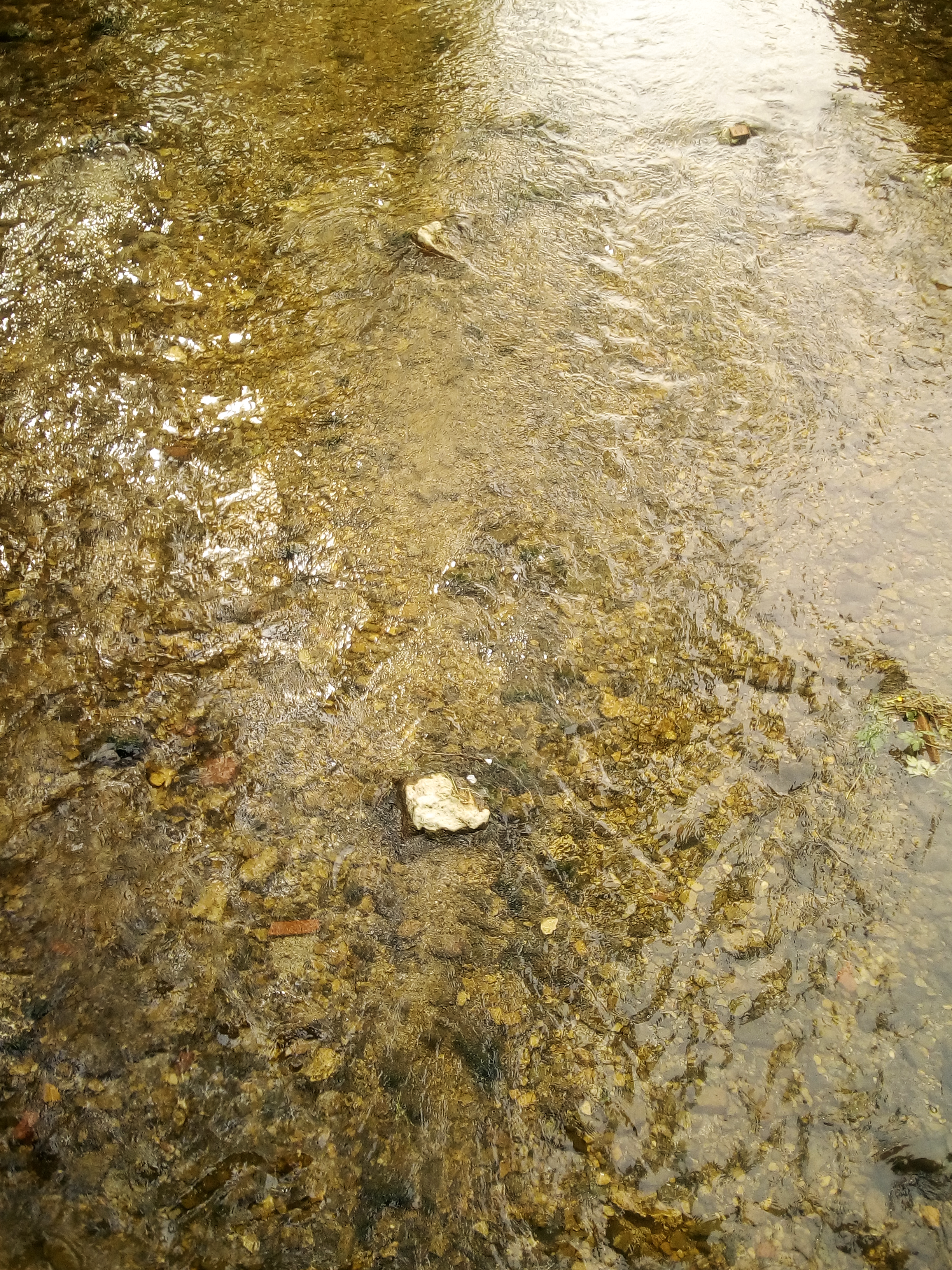 Samobor