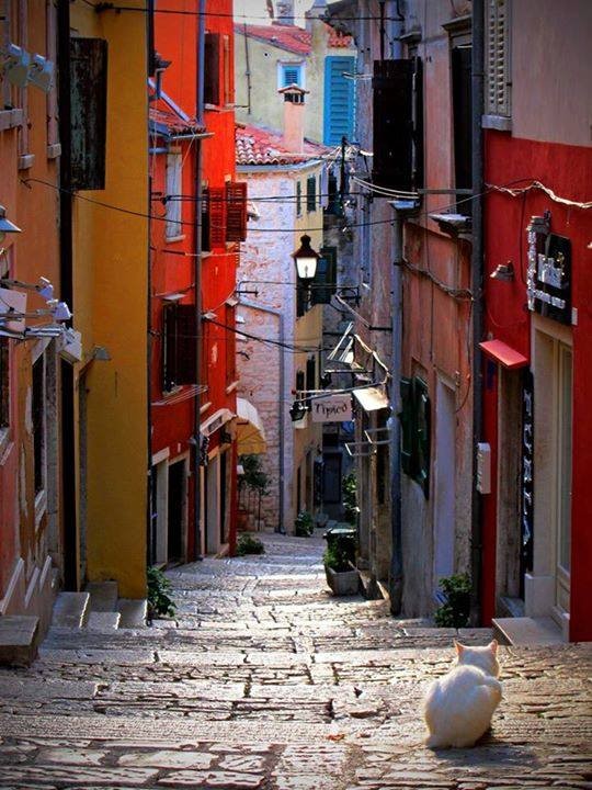 visit Rovinj