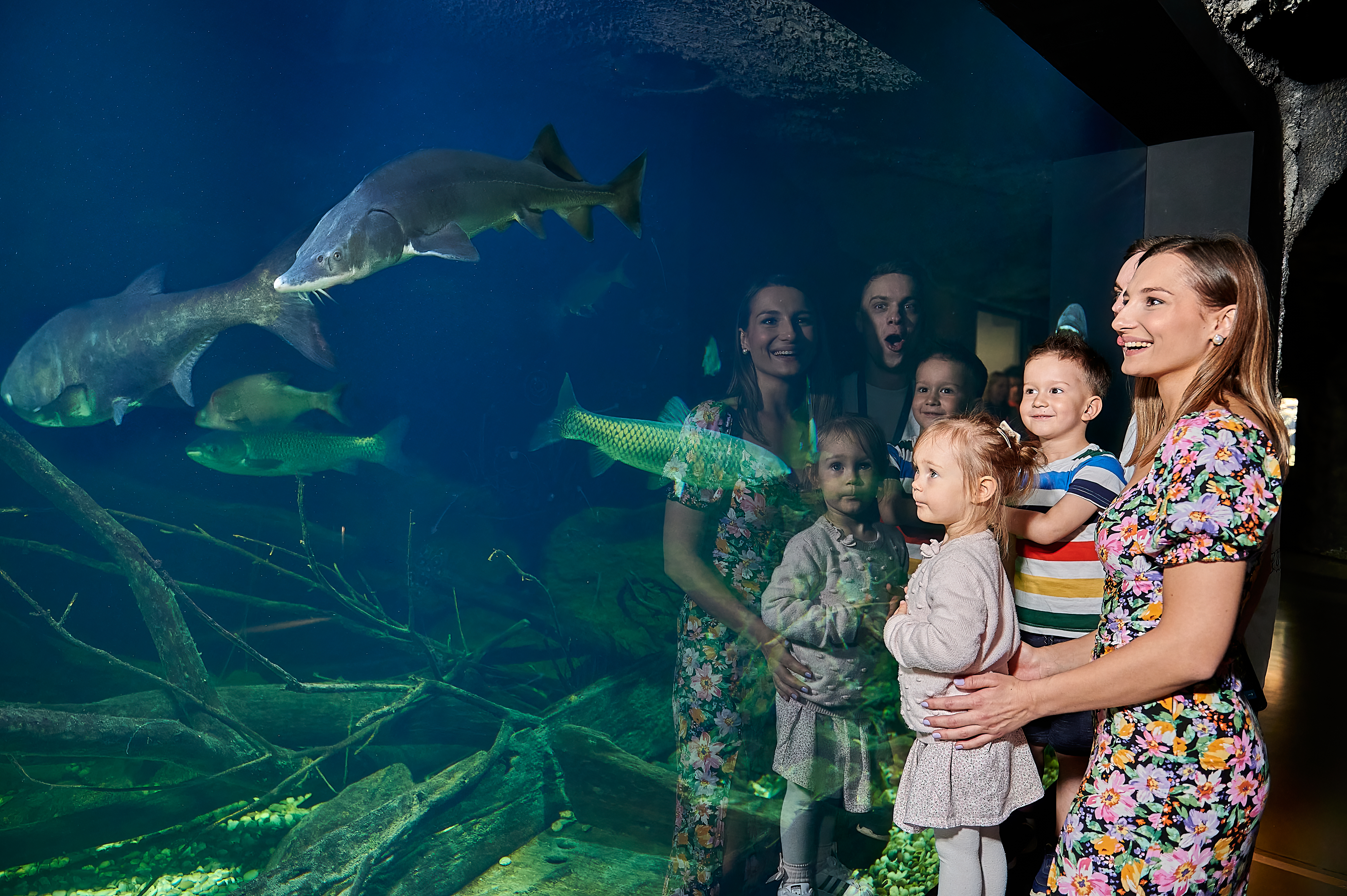 Excursion Only 45 Minutes from Zagreb - Aquatika