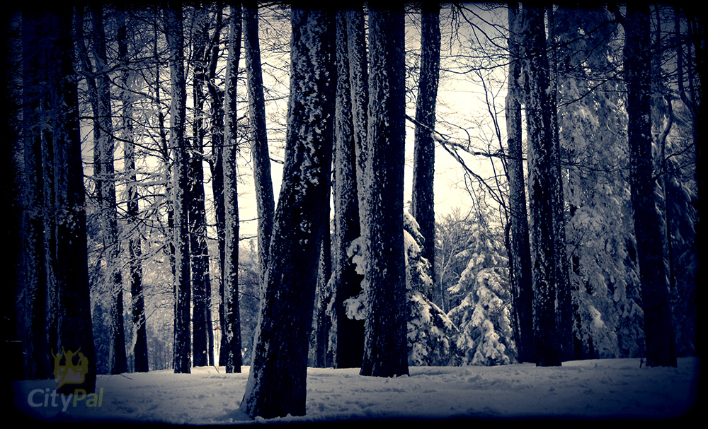 Where to Ski in Zagreb?