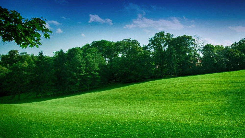 Cmrok Meadow