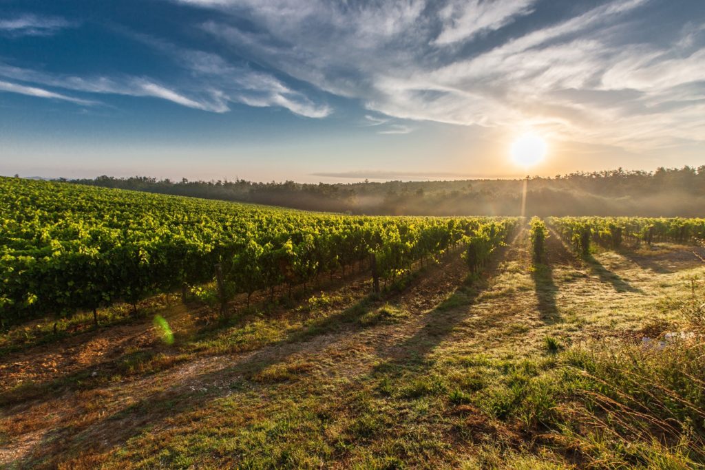 Valentine's Day in Istria 2019