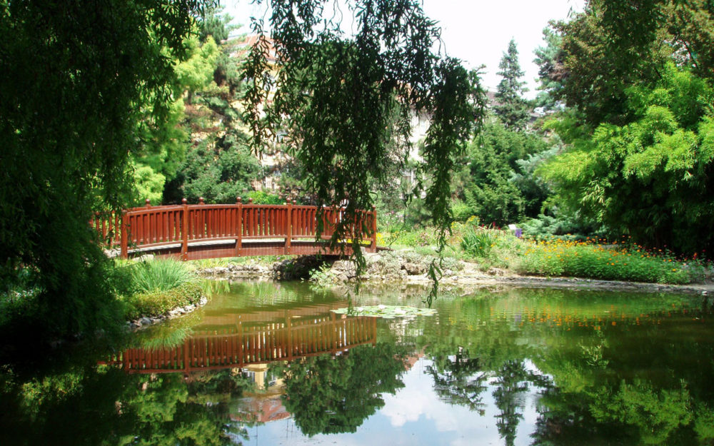Botanical Garden