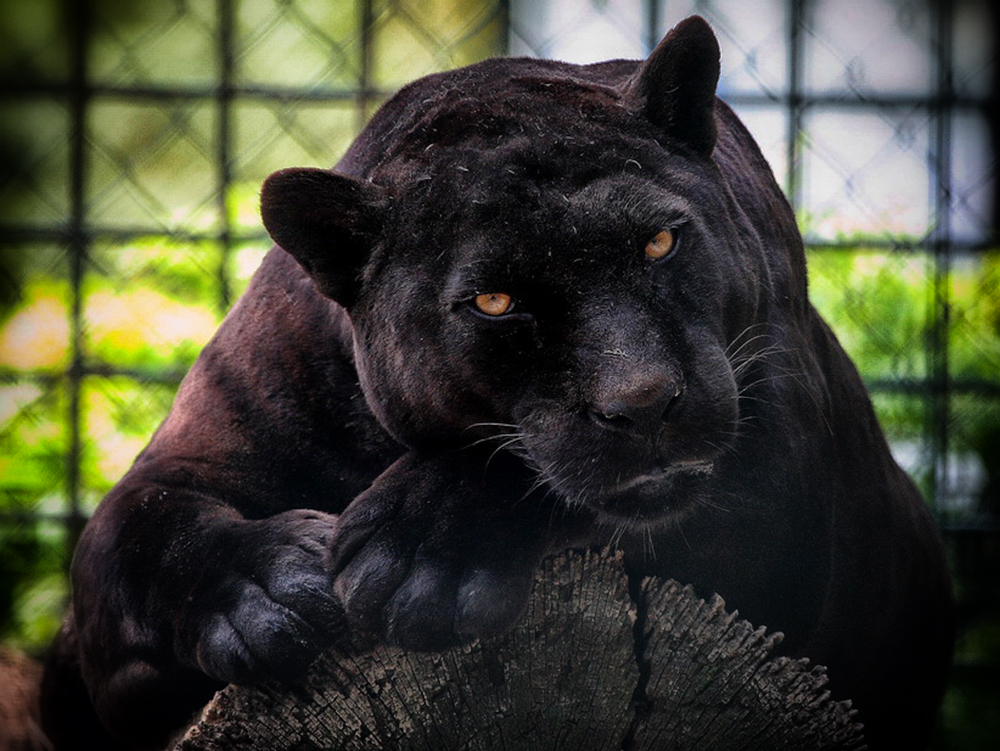Zagreb Zoo