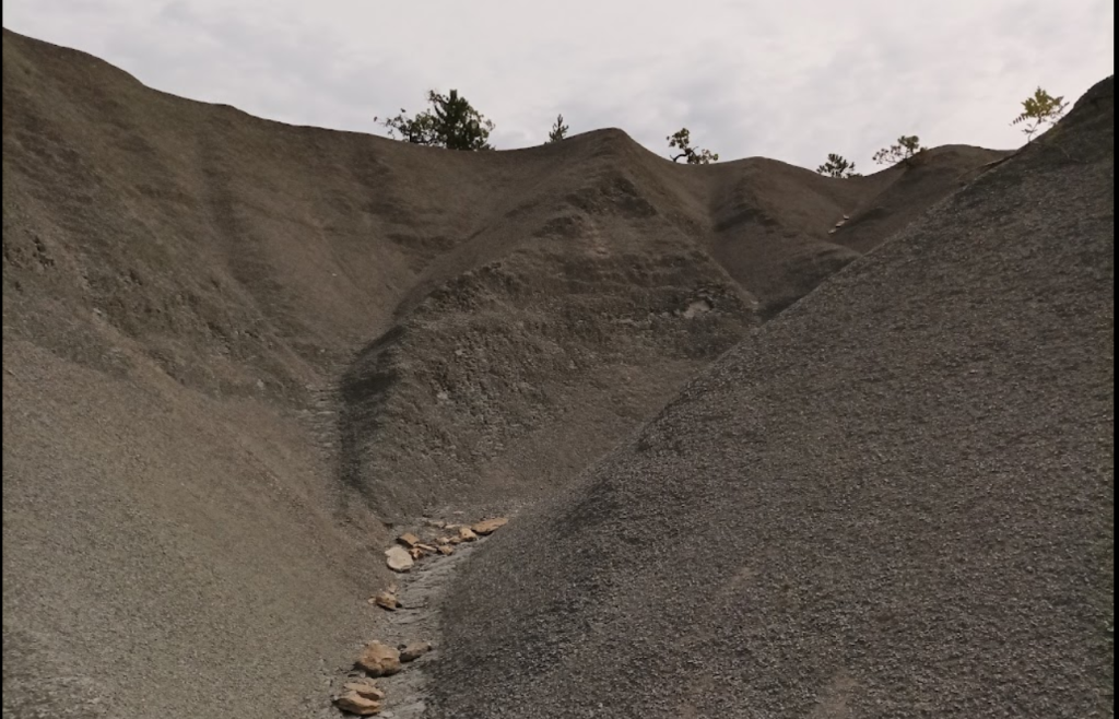 Istrian Desert: A Unique Landscape