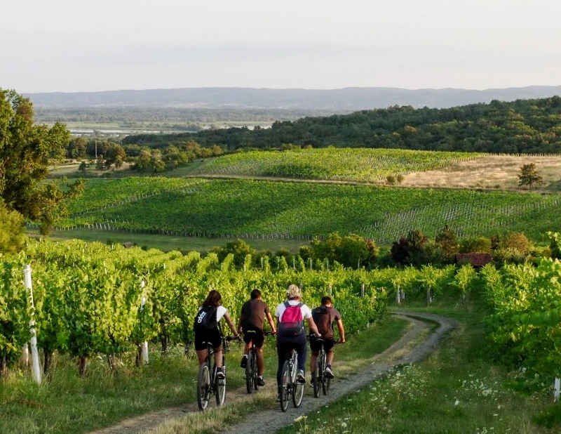 Meridiana Slavonica - A nature oasis and a weekend getaway 2 hours away from Zagreb