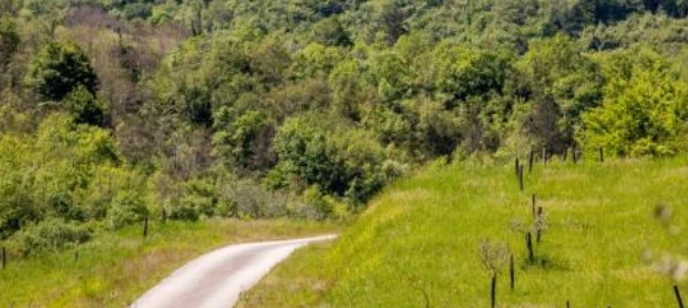 Central Istria free walk experience
